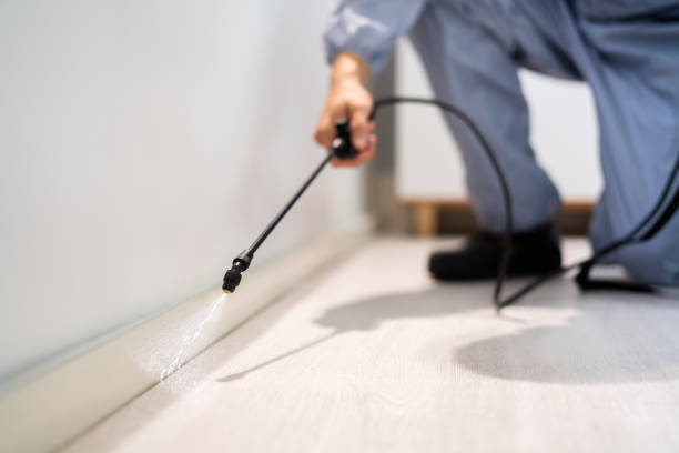 Bed Bug Pre-Treatment Preparation Assessment in Hasbrouck Heights