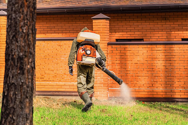Bed Bug Clearance Verification and Documentation in Hasbrouck Heights
